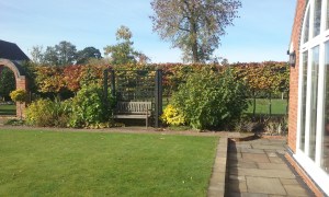 Image of border and seat